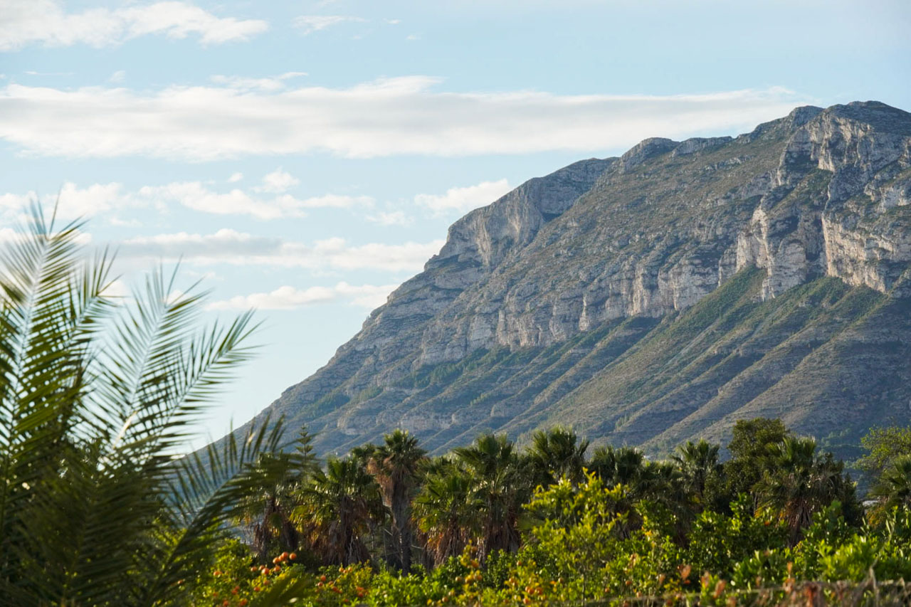 Vue dégagée sur le massif du Montgó depuis la propriété, entourée de palmiers et d'une végétation méditerranéenne luxuriante avec des vergers d'agrumes.