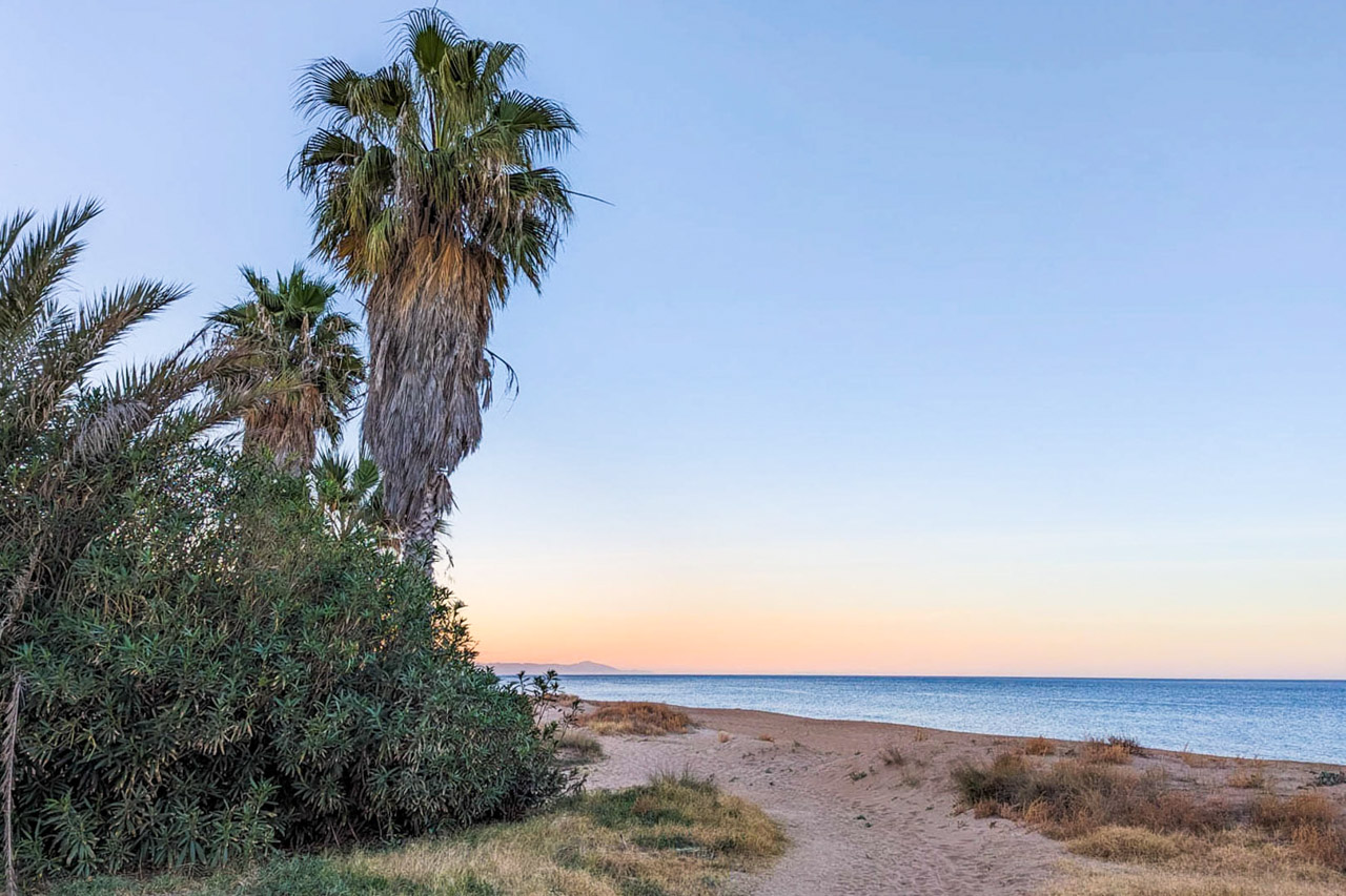 Vue d'une plage de sable à Dénia au coucher du soleil, avec des palmiers et une végétation côtière bordant un sentier vers la mer Méditerranée.