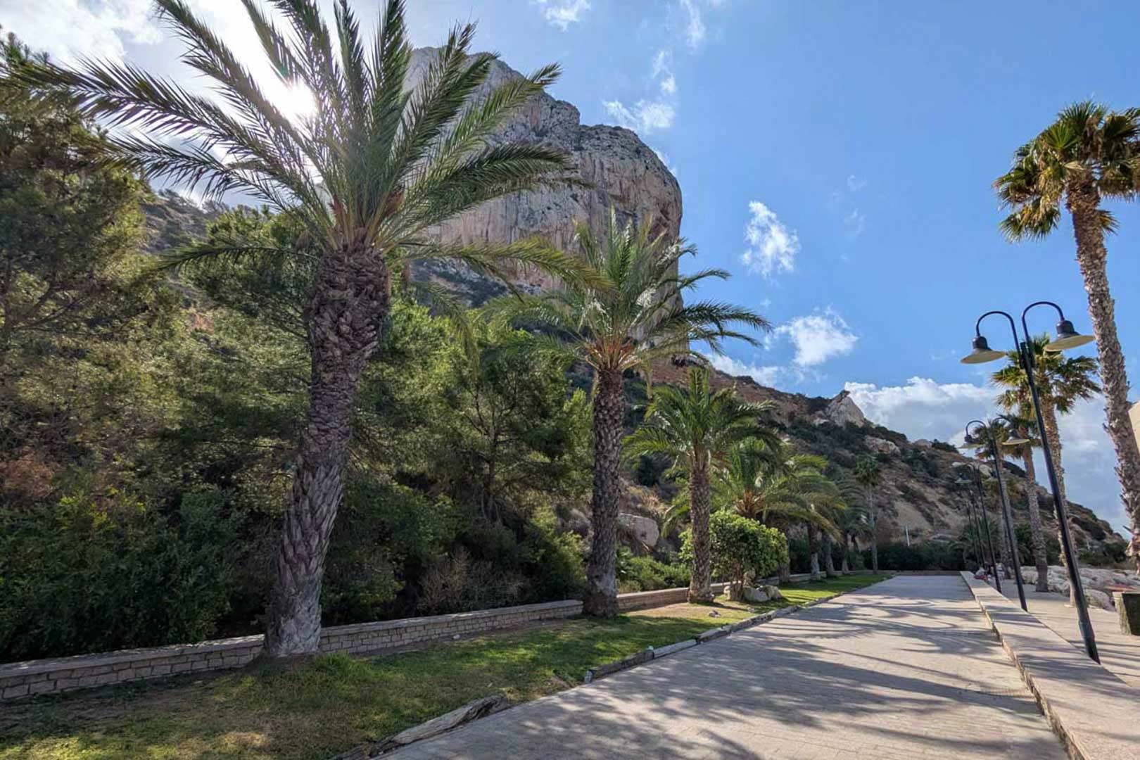 Promenade côtière pavée bordée de palmiers, offrant une vue imprenable sur l'emblématique Peñón de Ifach sous le soleil de Calpe.