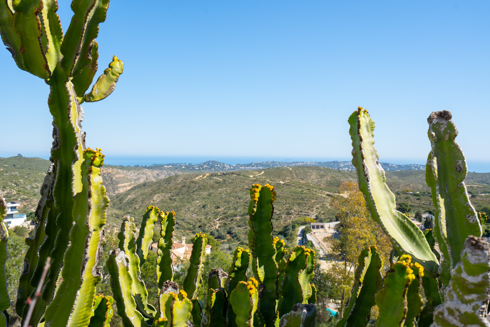 Vues panoramiques sur le parc naturel de la Granadella et la mer Méditerranée, encadrées par des cactus matures depuis la propriété.