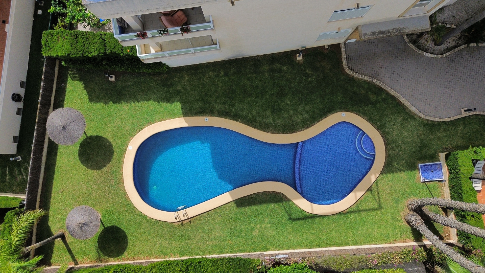 Vue aérienne de la piscine de forme organique avec pelouse soignée, parasols de paille et verdure luxuriante.