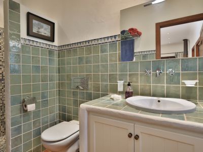 Salle de bain fonctionnelle avec murs carrelés verts, lavabo intégré dans un meuble blanc et douche en mosaïque bleue et blanche.