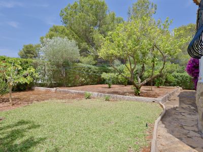 Jardin avec pelouse, citronnier et haie périphérique. Façade en pierre, balcon en fer forgé et bougainvillier sont visibles.
