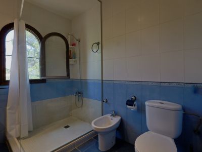 Salle de bain avec douche, bidet et toilettes. Les murs carrelés bleu et blanc entourent des fenêtres en bois cintrées apportant la lumière naturelle.