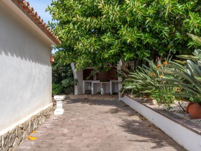 Cuisine extérieure avec comptoir carrelé sous un grand arbre, bordant un chemin pavé et un jardin méditerranéen avec Strelitzias.