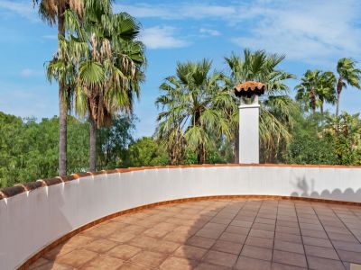 Vaste terrasse sur le toit avec carrelage en terre cuite, un parapet blanc incurvé surmonté de tuiles traditionnelles et une cheminée, entourée de palmiers sous un ciel bleu.