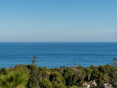 Vue panoramique sur la mer Méditerranée sous un ciel bleu clair, avec une végétation côtière dense et un toit en terre cuite au premier plan.