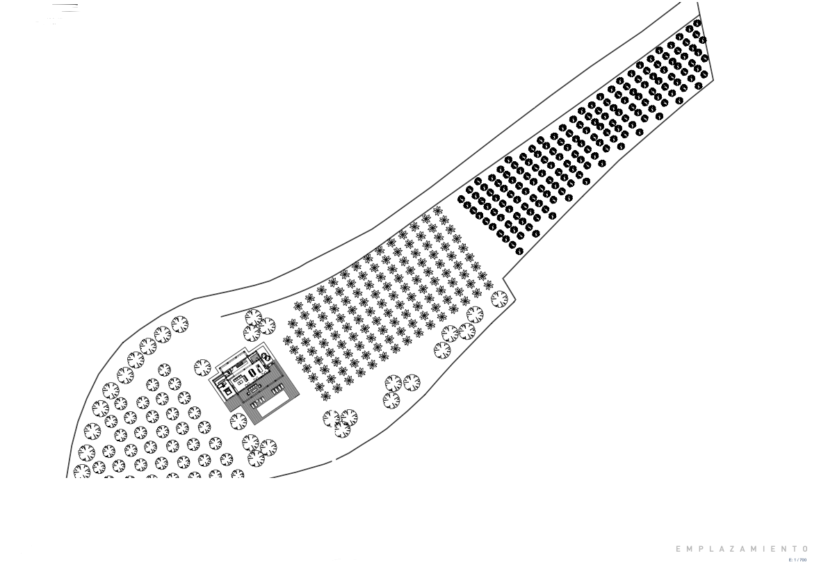 Plan de masse à l'échelle 1:700 détaillant l'implantation de la villa, la piscine et le vaste terrain arboré avec une disposition organisée des plantations.