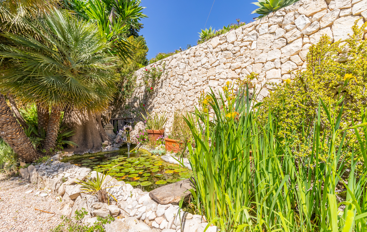 Bassin d'ornement avec nénuphars et petite cascade, entouré d'une végétation méditerranéenne luxuriante et d'un mur en pierre sèche.