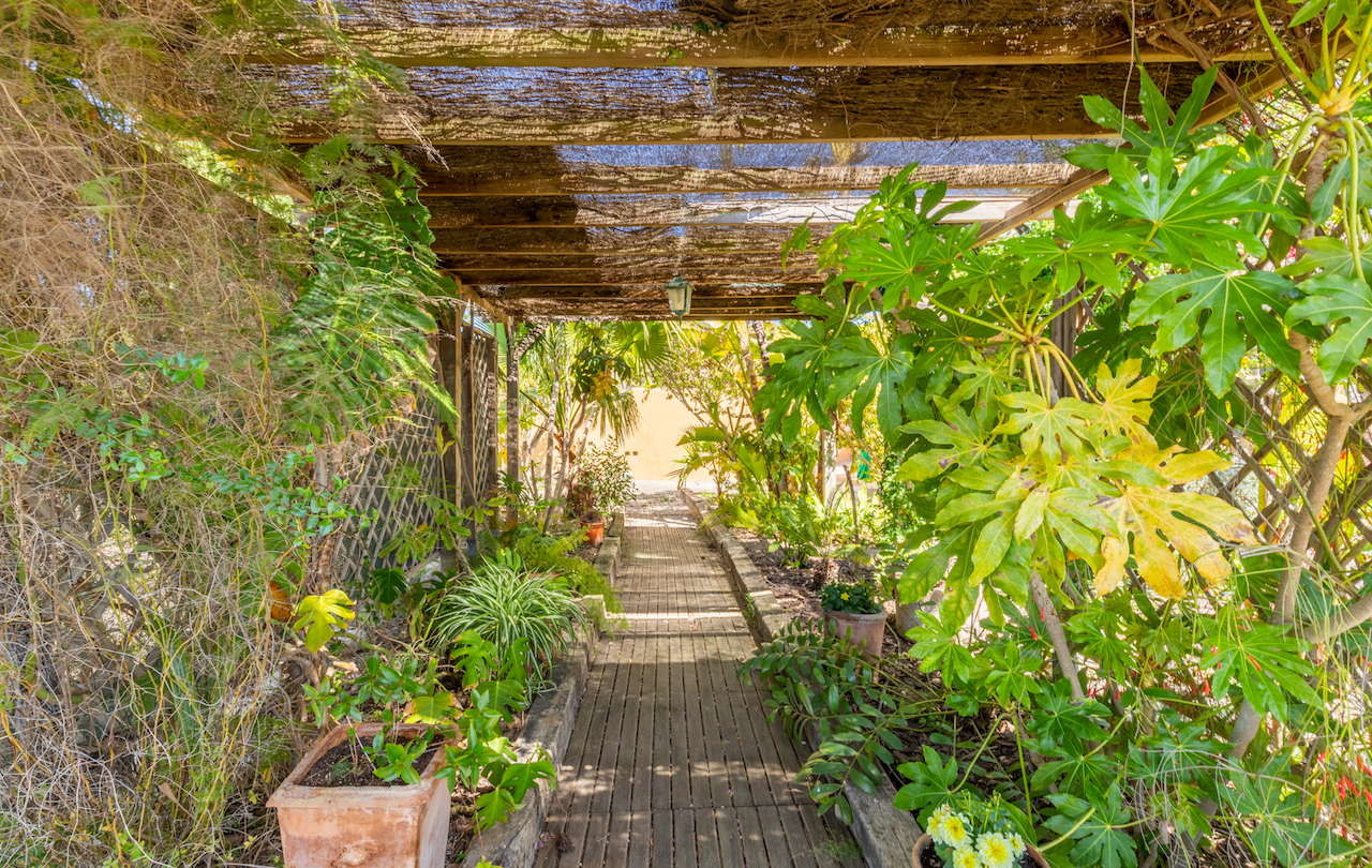 Chemin en bois sous une pergola rustique couverte de brande, entouré d'une végétation méditerranéenne dense et de plantes tropicales en pots.