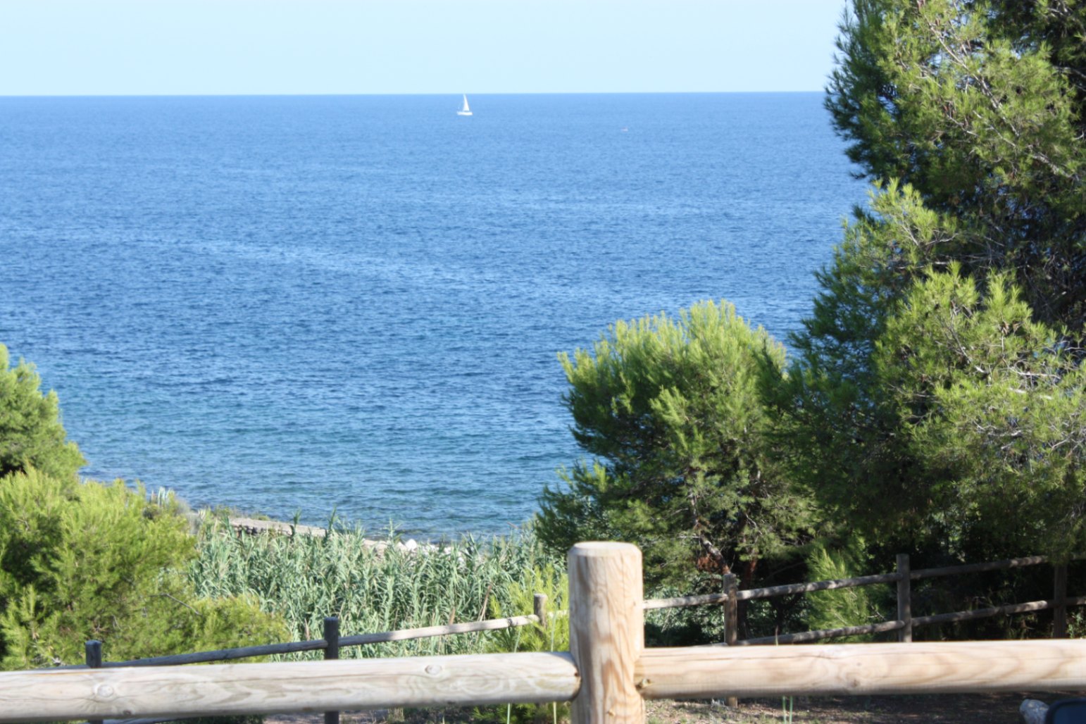 Vue dégagée sur la mer Méditerranée depuis la propriété, encadrée par des pins et une clôture en bois rustique avec un voilier à l'horizon.