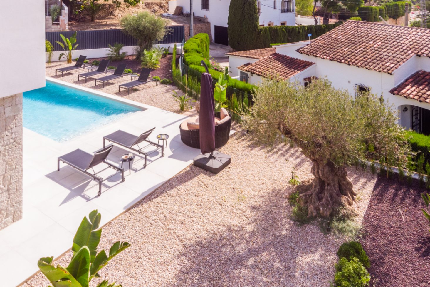 Vue aérienne de la piscine avec transats et jardin méditerranéen avec un olivier centenaire à Benissa.