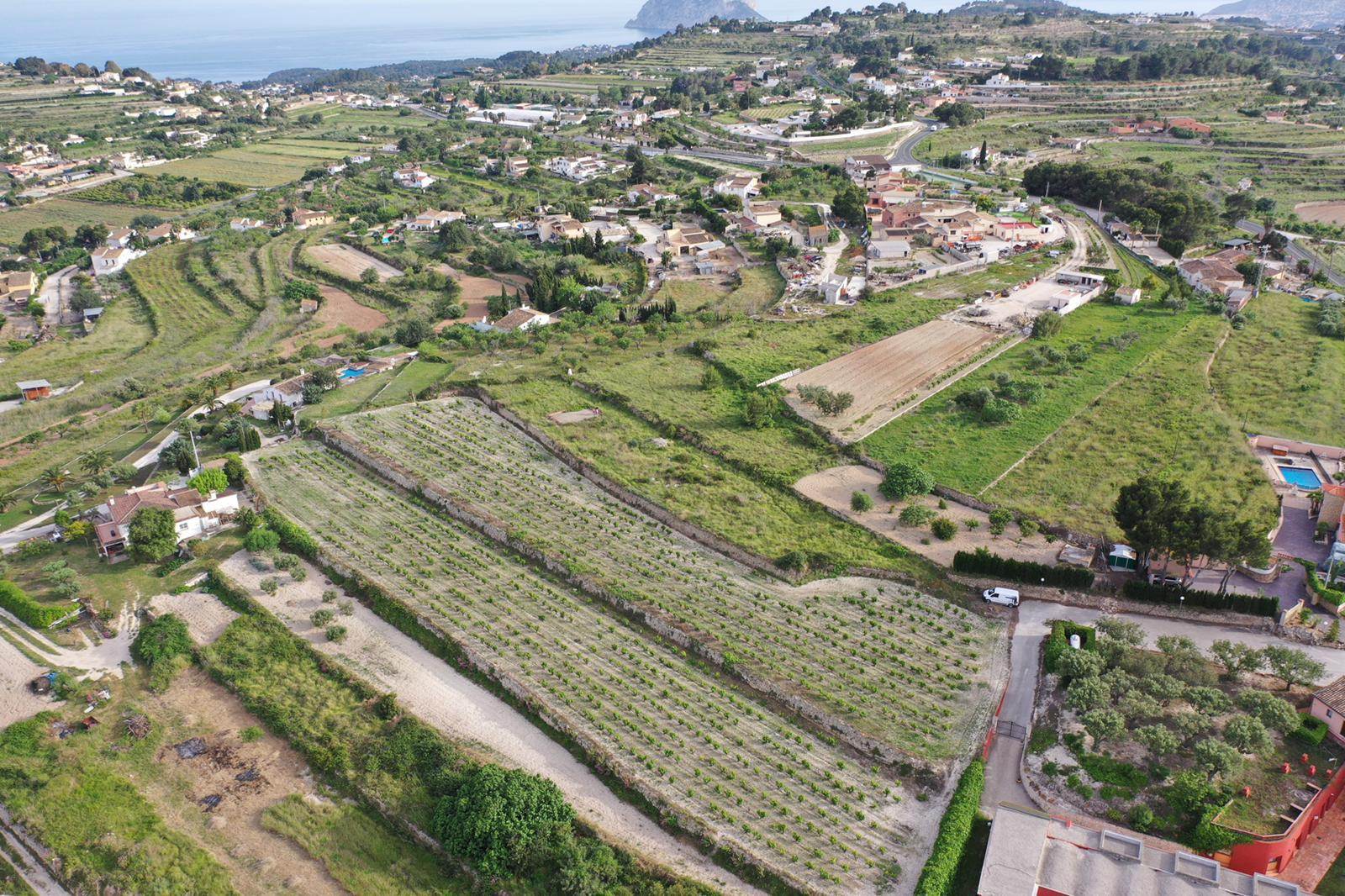 Vue aérienne du vaste terrain avec ses vignobles de muscat en terrasses, offrant un panorama dégagé sur la mer Méditerranée et le Peñón de Ifach.