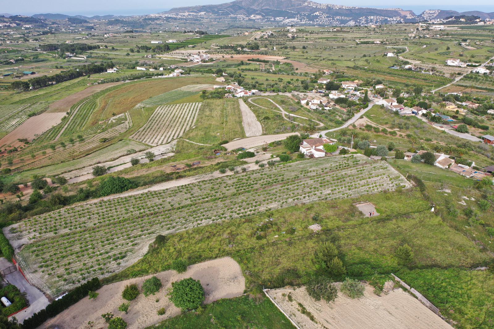Vue aérienne du vaste terrain avec ses vignobles de muscat, entouré d'un paysage méditerranéen offrant des vues panoramiques sur la mer et les montagnes.