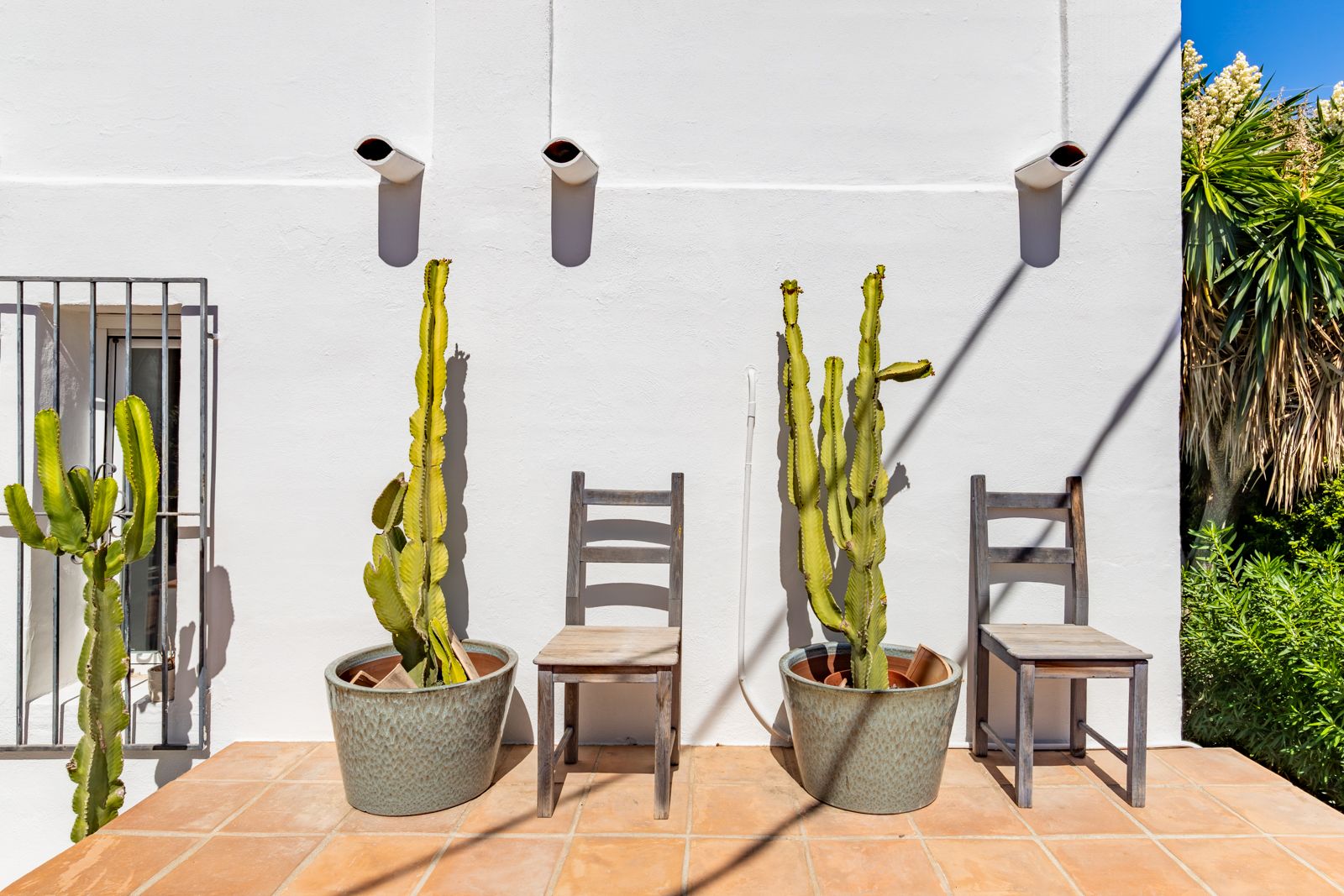 Façade blanche méditerranéenne avec sol en terre cuite, chaises en bois rustique et grands cactus en pots, illustrant le charme traditionnel extérieur.