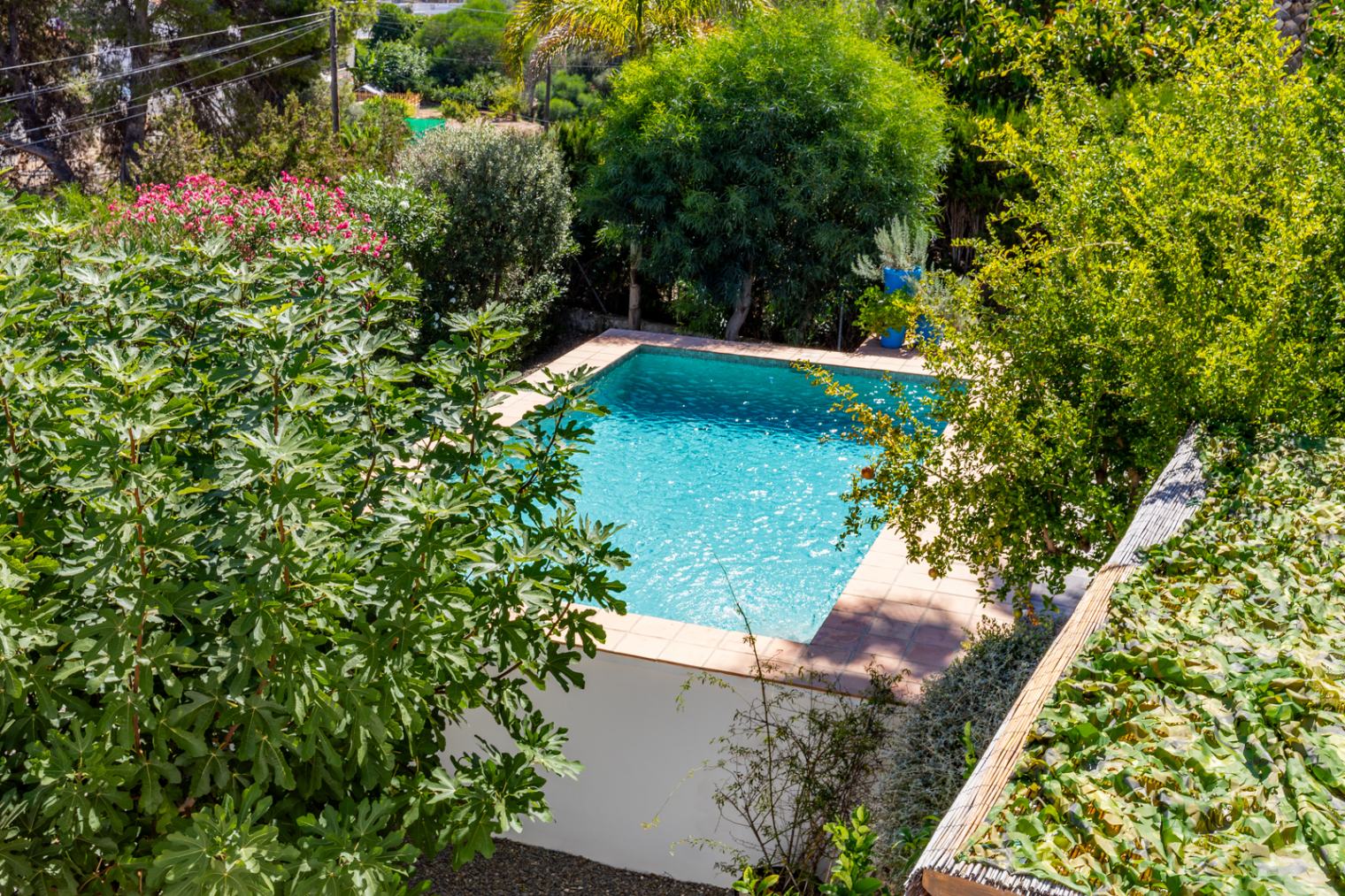 Piscine privée entourée d'une végétation méditerranéenne dense, avec figuiers et lauriers-roses, offrant une intimité totale en plein air.