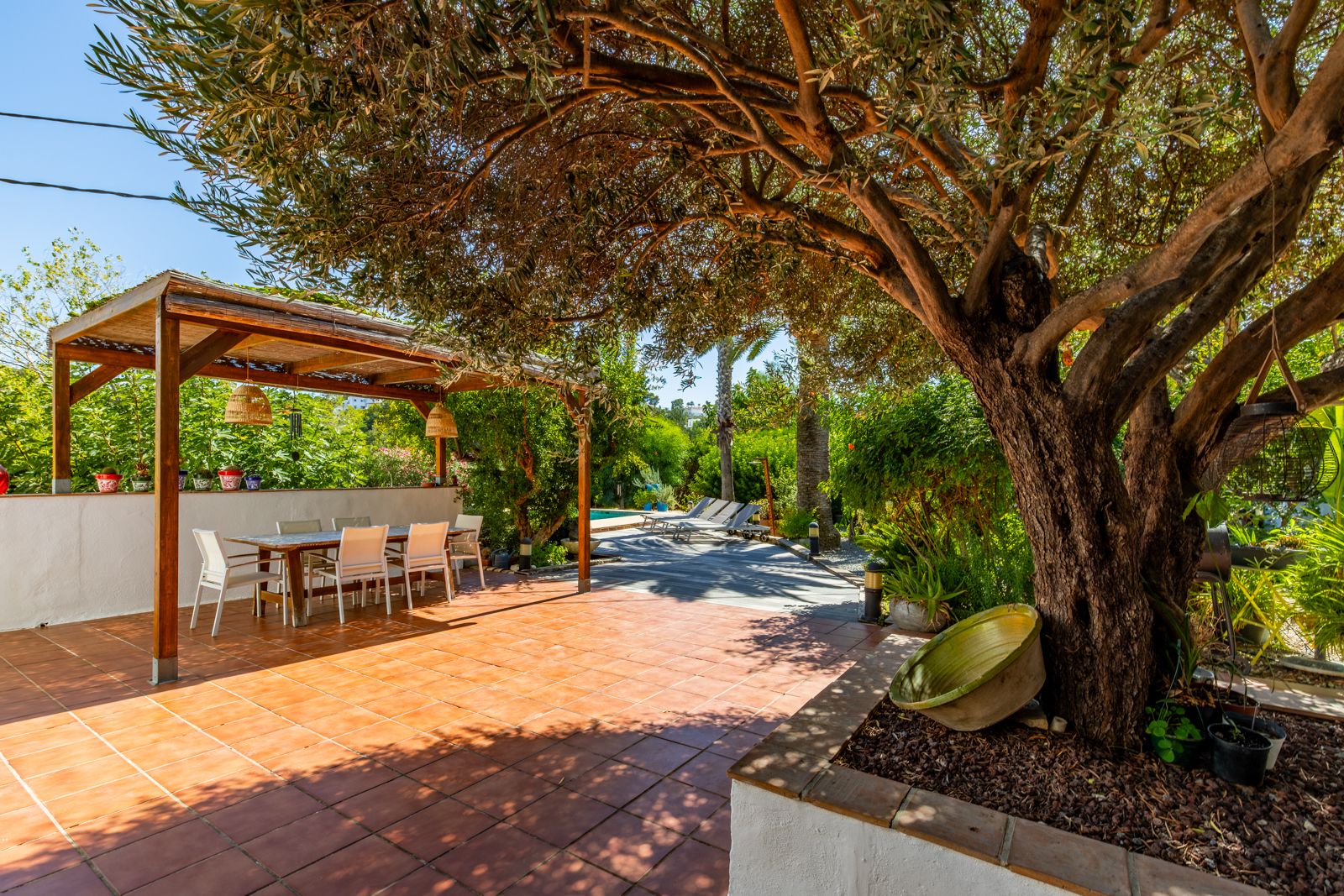 Terrasse extérieure avec carrelage en terre cuite, espace repas sous une pergola en bois et un olivier mature offrant de l'ombre naturelle près du jardin.