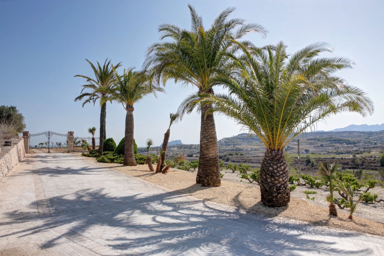 Allée d'entrée pavée bordée de grands palmiers, offrant une vue dégagée sur la vallée environnante et le célèbre Peñón de Ifach.
