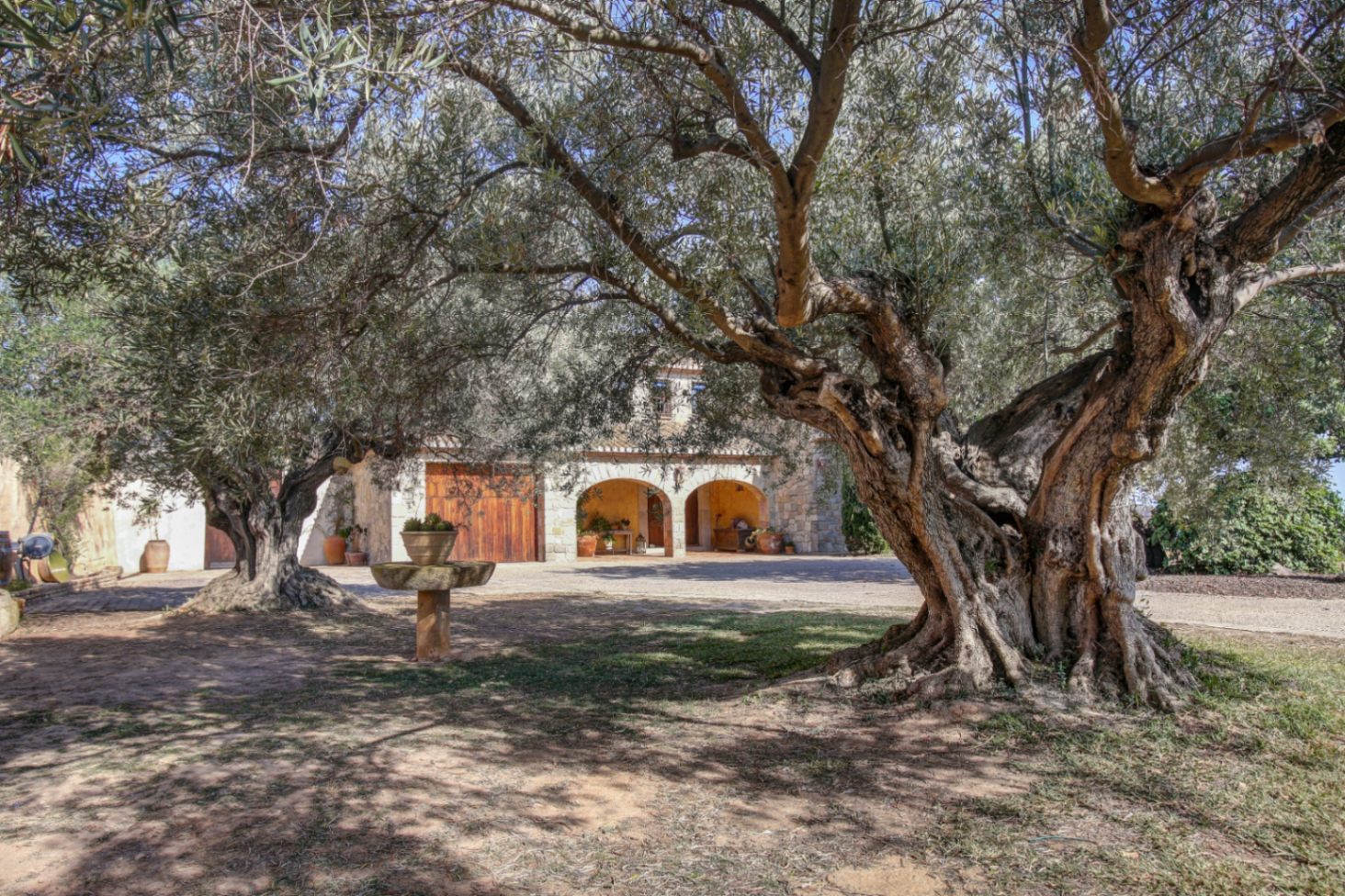 Vue extérieure encadrée par des oliviers centenaires, révélant la façade en pierre naturelle, le porche à arches traditionnel et les portes en bois massif.