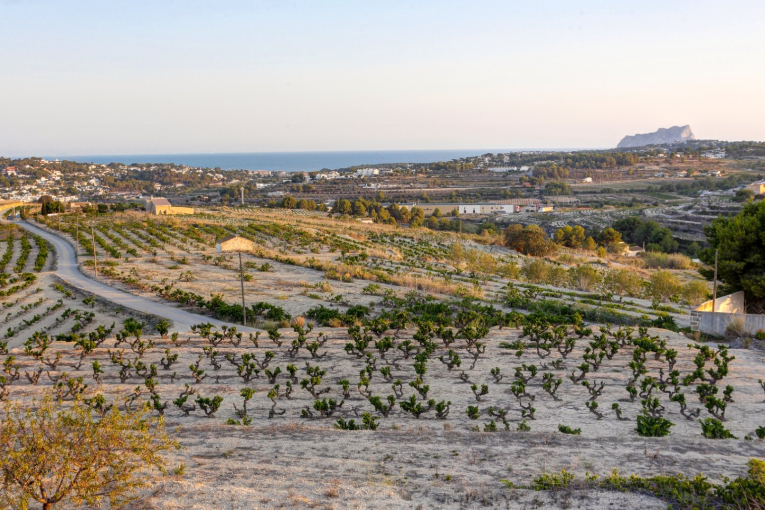 Vues panoramiques depuis la propriété sur les vignobles en terrasses, avec la mer Méditerranée et le Peñón de Ifach se dessinant à l'horizon.