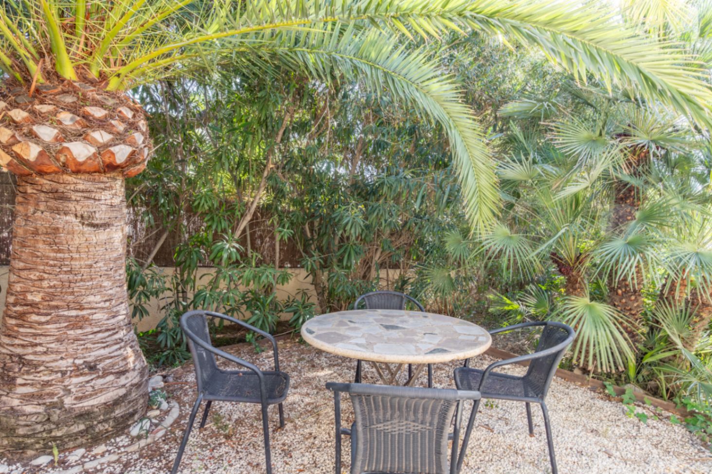 Coin salon de jardin ombragé avec table en pierre et chaises, entouré de palmiers et d'une végétation méditerranéenne dense offrant une intimité totale.