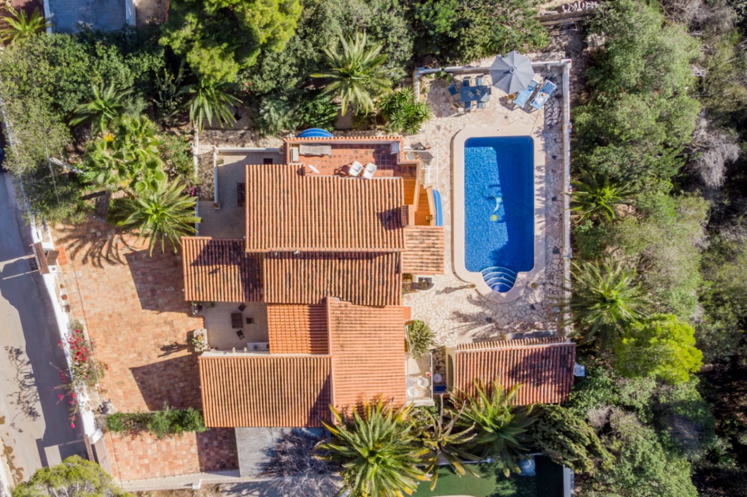 Vue aérienne de la propriété montrant la parcelle de 1 000 m², la piscine de 42 m² et les terrasses en pierre entourées d'une végétation méditerranéenne dense.