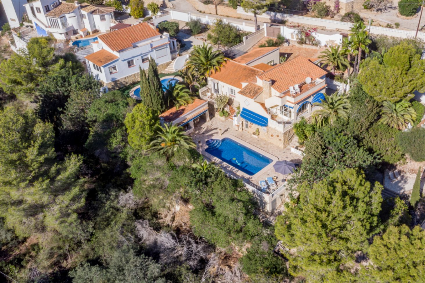 Vue aérienne de la villa avec toits en terre cuite, piscine centrale entourée de palmiers et cuisine d'été, située en bordure d'une zone verte protégée.