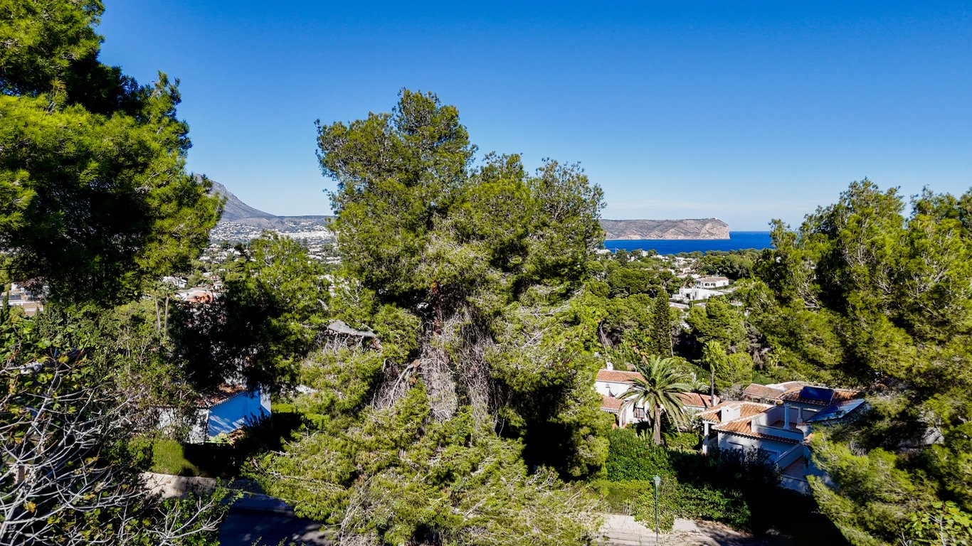 Vue panoramique sur la mer Méditerranée et le cap, entourée d'une pinède dense avec la silhouette du Montgó à l'horizon.