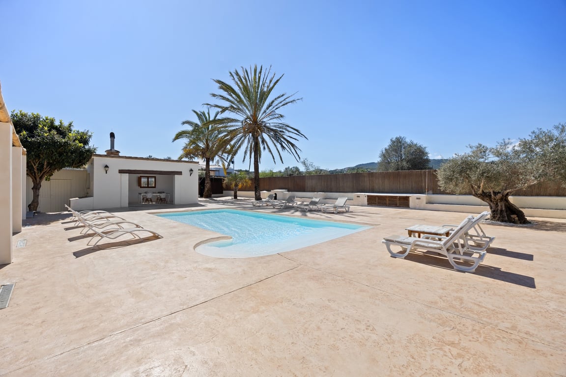 Espace piscine avec vaste terrasse ensoleillée, bordée de palmiers et d'un olivier, comprenant une cuisine d'été et offrant une vue dégagée sur le paysage.