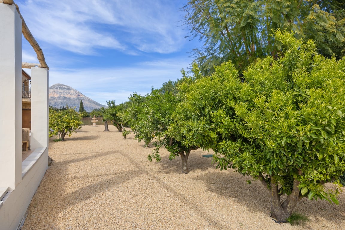Jardin méditerranéen facile d'entretien avec arbres fruitiers et gravier, offrant une vue dégagée sur le Montgó et une fontaine ornementale au loin.