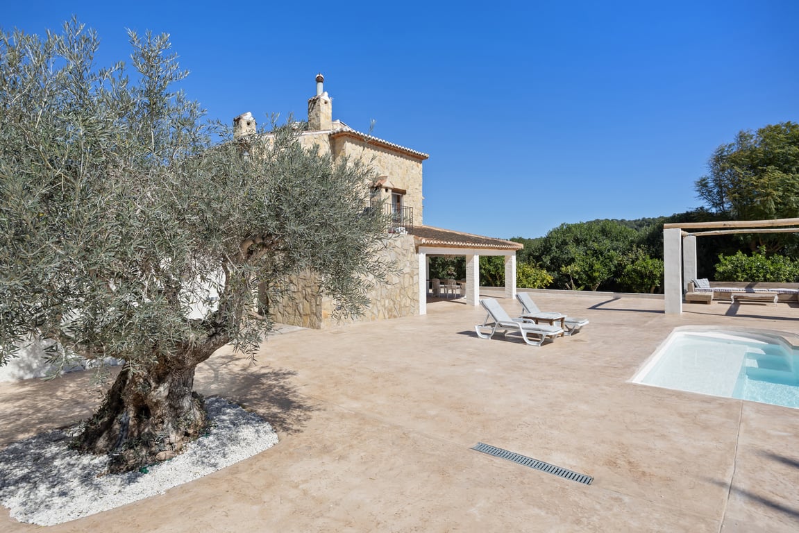 Terrasse de la piscine avec un olivier ancien, façade en pierre naturelle et espaces de détente comprenant des bains de soleil et une naya couverte.
