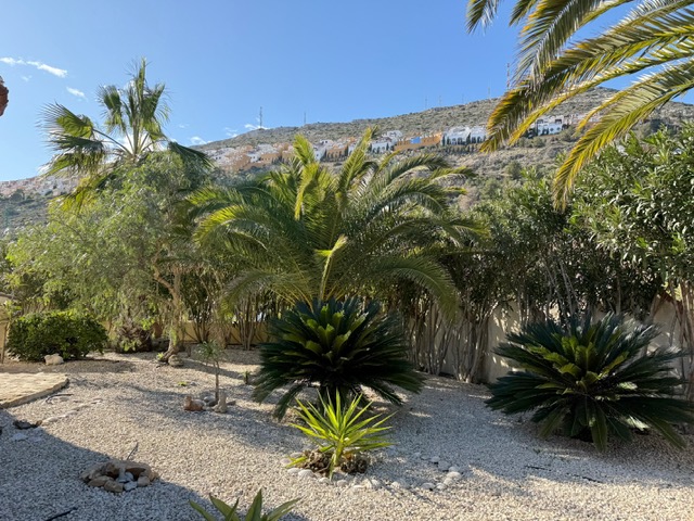 Jardin méditerranéen avec gravier, palmiers matures et cycas, offrant une vue sur la colline de Benitachell sous un ciel bleu dégagé.