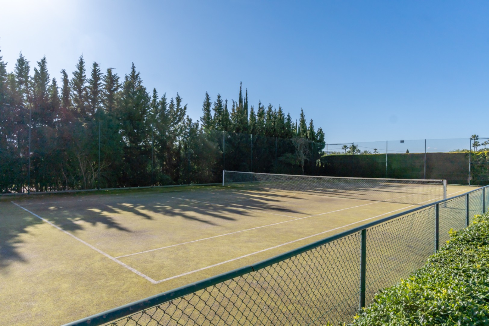 Court de tennis privé avec surface synthétique, entouré d'une clôture grillagée et de hauts cyprès offrant une intimité totale et une protection contre le vent.