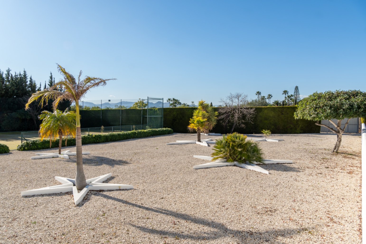 Jardin de gravier avec palmiers dans des jardinières en étoile, bordant un court de tennis privé entouré de hautes haies de protection.