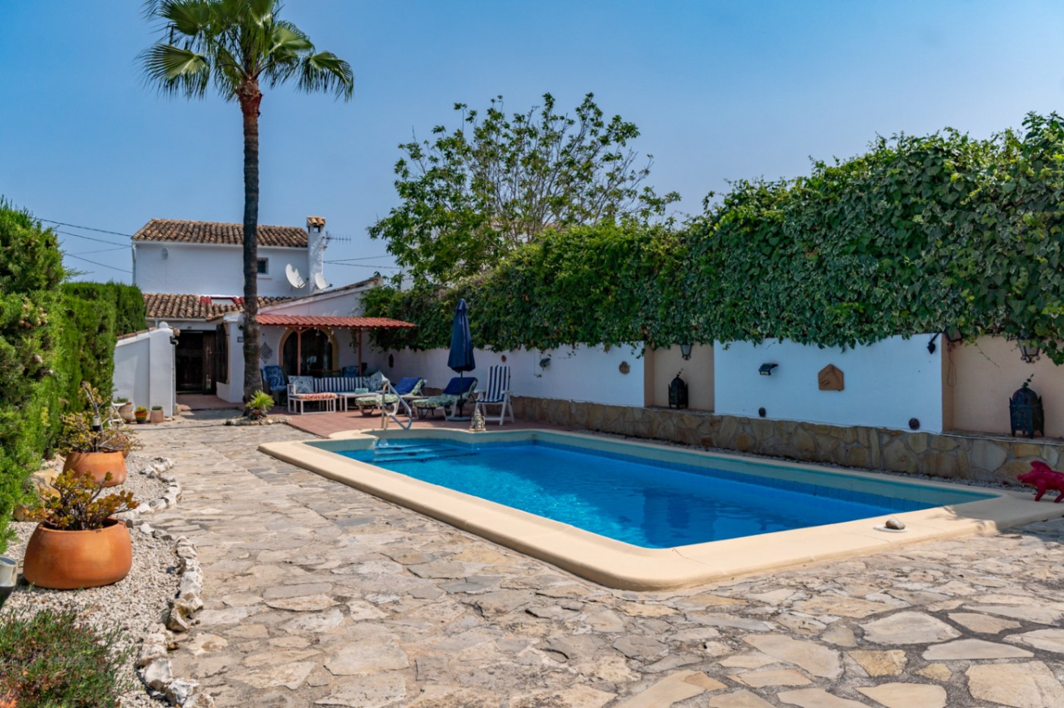 Vue sur la piscine rectangulaire à bord clair, entourée d'un jardin avec des murs couverts de végétation.