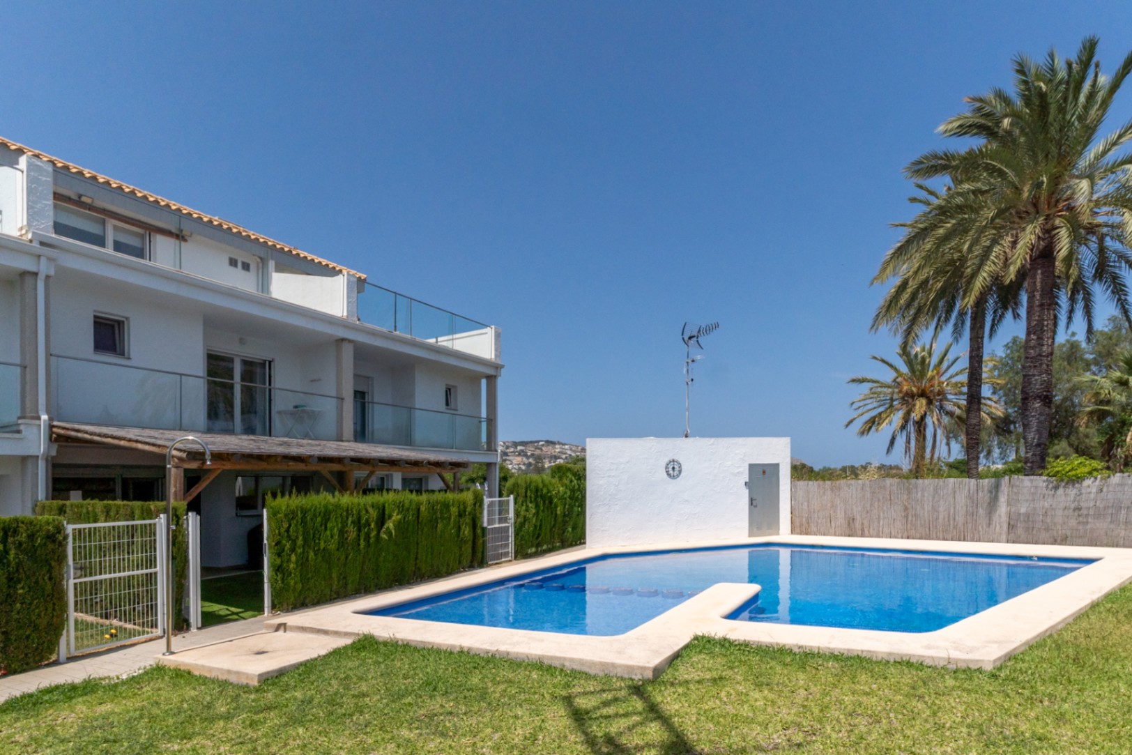 Espace piscine communautaire avec pelouse et palmiers, offrant un accès direct depuis le patio privé. La façade moderne se distingue par ses balcons aux garde-corps en verre.