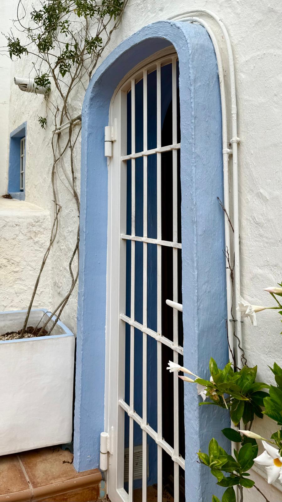 Détail d'architecture de style ibizien présentant une arche bordée de bleu, une grille de sécurité blanche et des murs à la chaux avec plantes grimpantes.