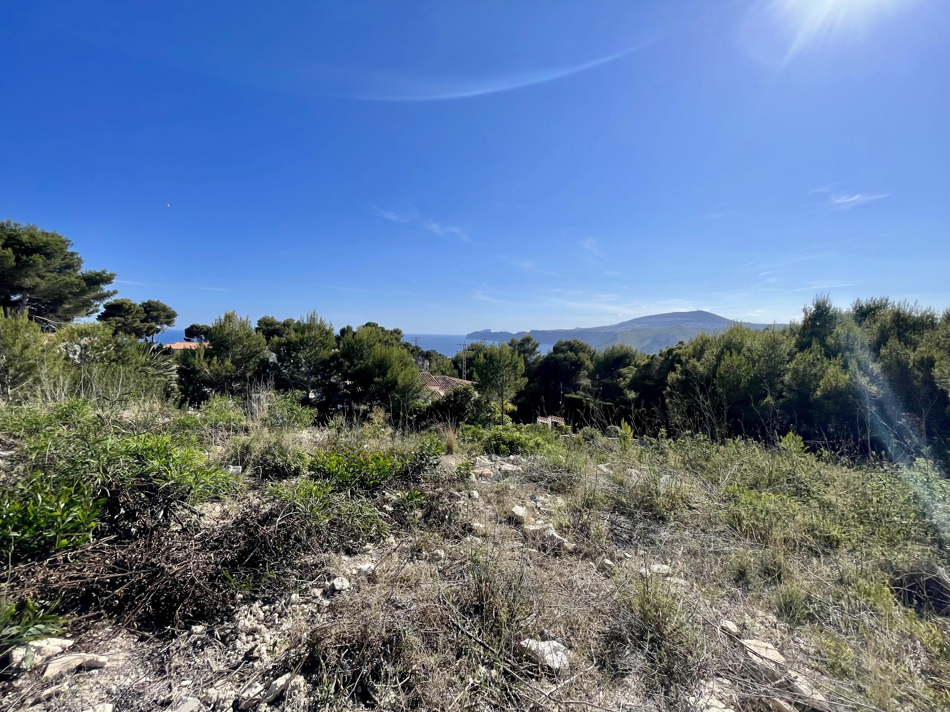 Vue panoramique depuis le terrain sur la mer Méditerranée et le littoral, entourée de pins et de végétation sauvage sous un ciel azur.