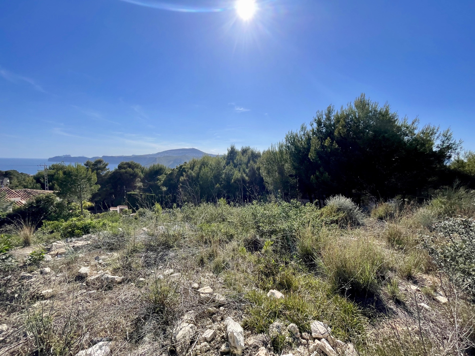 Vue panoramique depuis le terrain surélevé vers la mer Méditerranée, entouré de végétation indigène et de pins sous un ciel dégagé et ensoleillé.