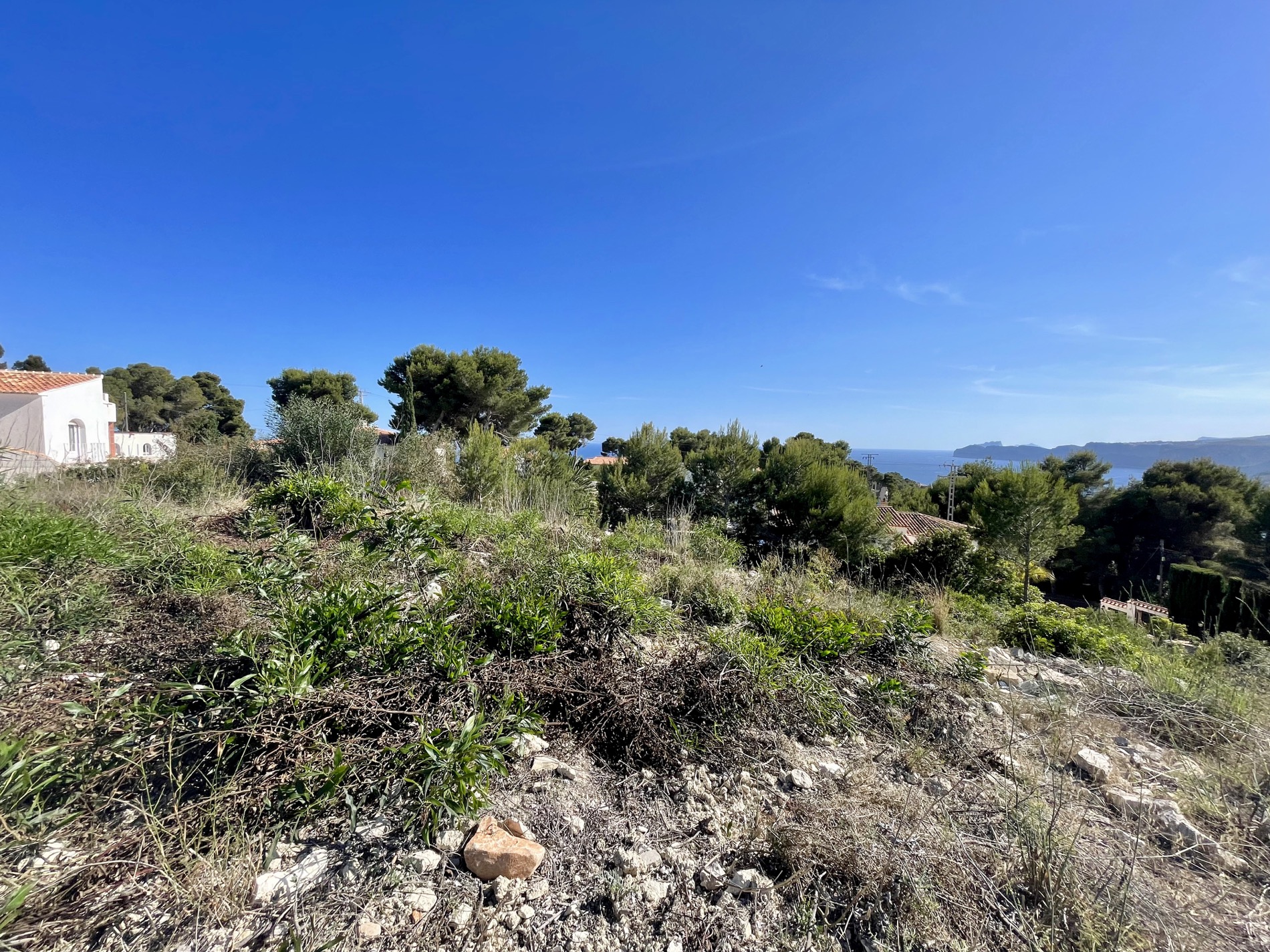 Vue surélevée du terrain avec végétation indigène et pins méditerranéens, offrant une perspective dégagée sur la mer et l'horizon sous un ciel azur.