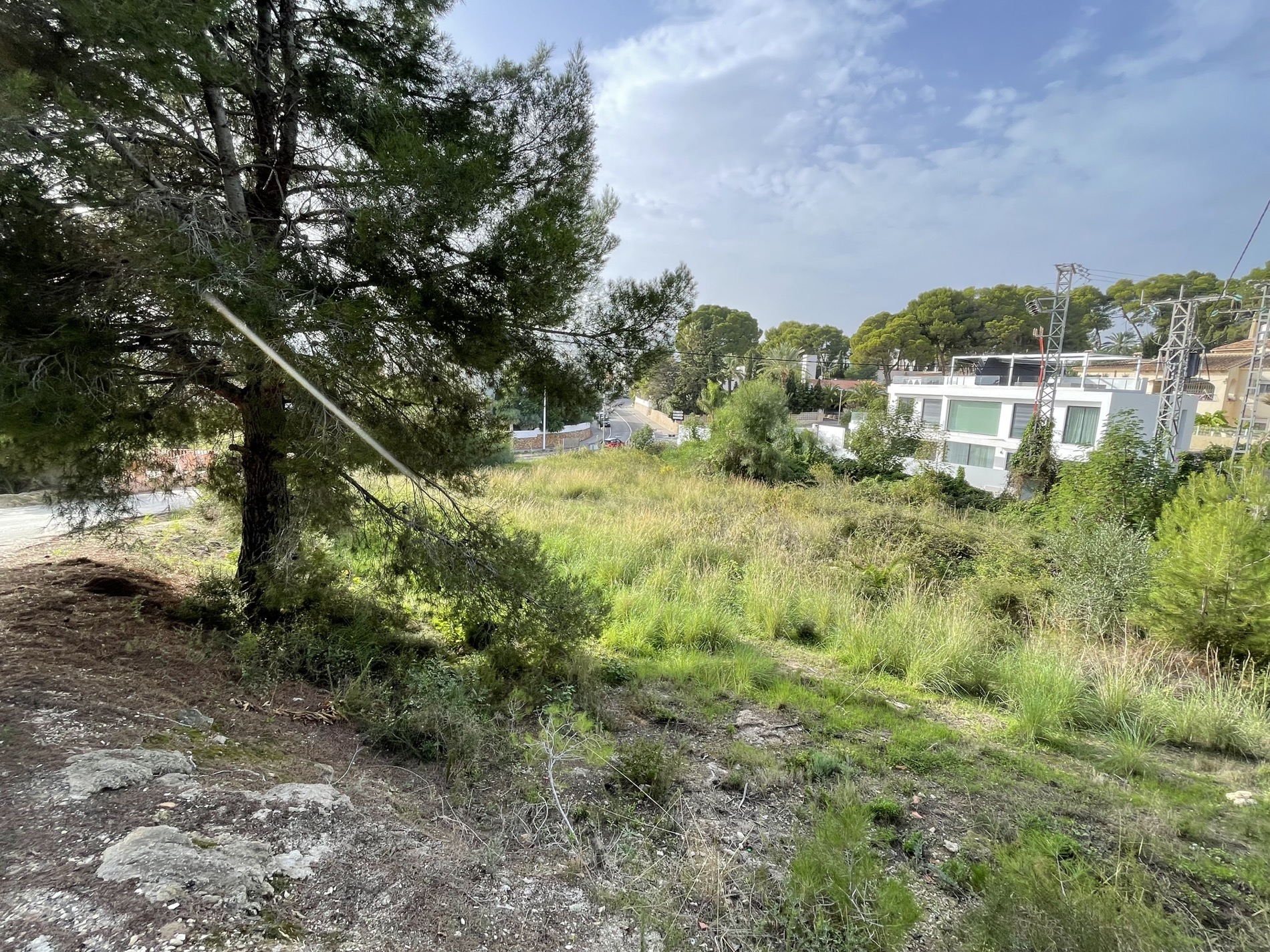 Terrain surélevé avec végétation naturelle et pins matures, situé à proximité d'une zone résidentielle moderne à Moraira.