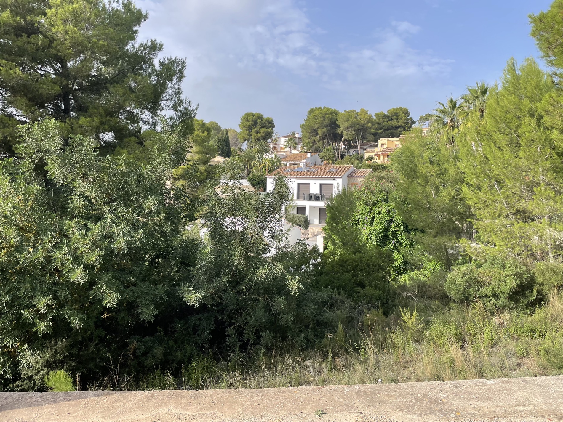 Vue surélevée depuis le terrain vers les villas voisines, entourées de pins matures et d'une végétation méditerranéenne dense à Moraira.