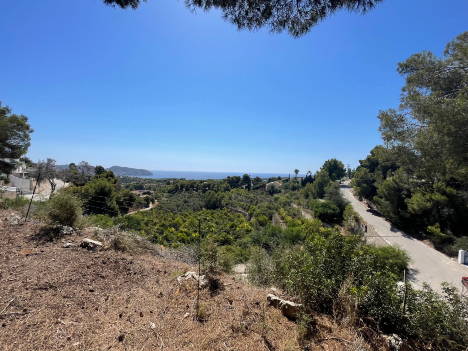 Vue panoramique sur la mer Méditerranée depuis ce terrain surélevé à Benimeit, Moraira, entouré de pins et d'une végétation locale dense.