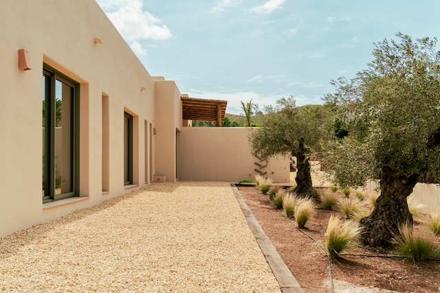 Façade minimaliste aux tons sable avec de grandes baies vitrées et un jardin méditerranéen planté d'oliviers anciens et de graminées sur gravier.