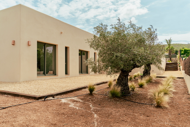 Façade moderne aux tons sable avec menuiseries sombres, entourée d'un jardin méditerranéen composé d'oliviers centenaires et de gravier décoratif.