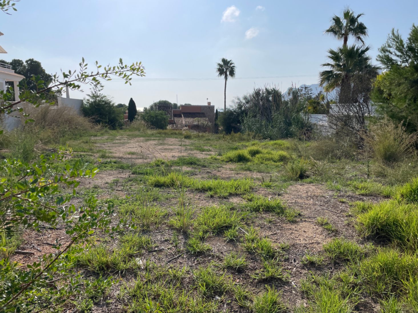 Terrain plat de 856 m² à Bassetes, Calpe, avec végétation méditerranéenne et orientation sud, prêt pour la construction d'une villa individuelle.