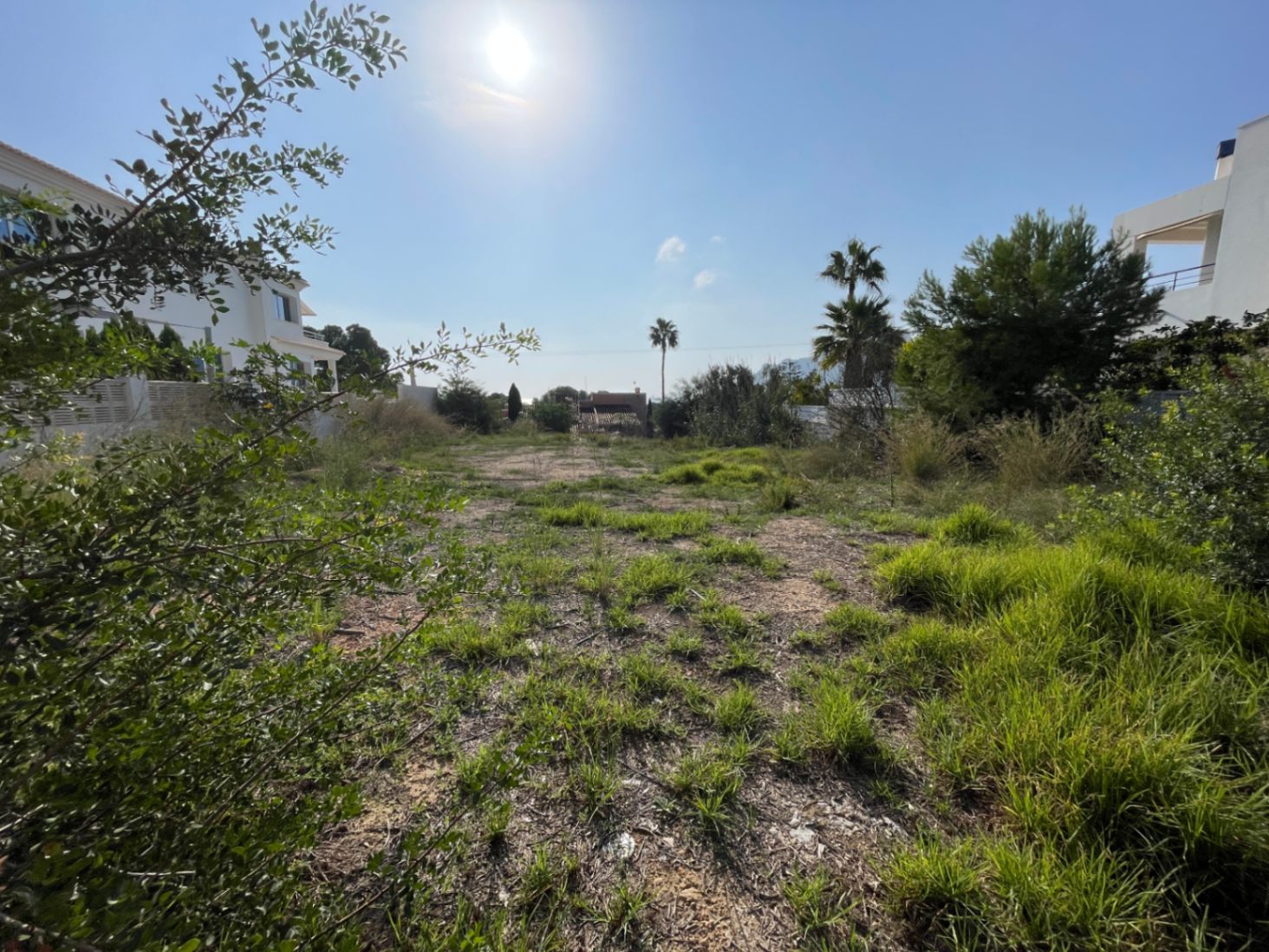 Terrain plat de 856 m² à Bassetes, Calpe, offrant une orientation sud et un environnement résidentiel calme bordé de villas contemporaines.