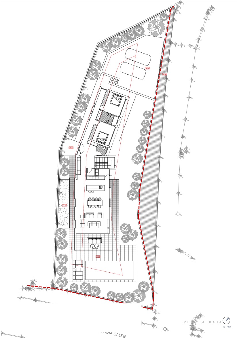 Plan détaillé du rez-de-chaussée montrant l'agencement ouvert du séjour, de la cuisine, des chambres, ainsi que la terrasse avec piscine et le parking privé sur le terrain.