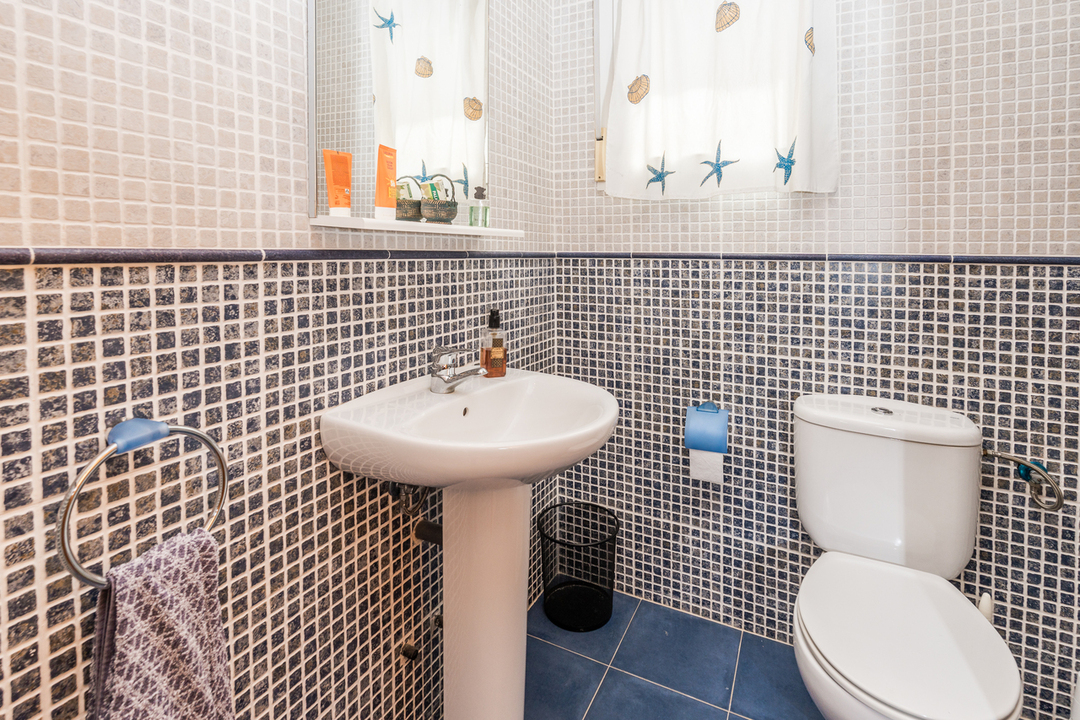Salle de bains avec mosaïque murale bicolore bleue et beige, lavabo sur colonne blanc et fenêtre apportant une lumière naturelle.