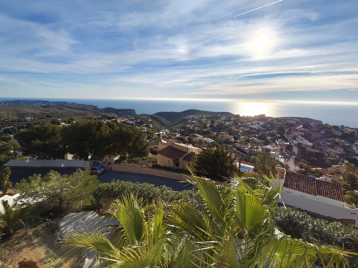 Vue panoramique surélevée sur la mer Méditerranée et le quartier résidentiel, encadrée par des palmiers et une végétation locale dense.